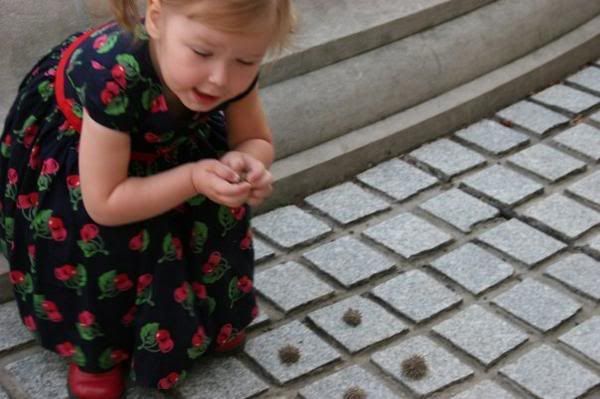 IMAGE: http://i415.photobucket.com/albums/pp231/hillhey/Katelyn%20in%20the%20park%20Oct%202008/l_c9f1377cfa9940ab9abb7ac43240fd4d.jpg