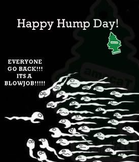hump day photo: happy hump day happy_hump_day_ttownsticks_.jpg
