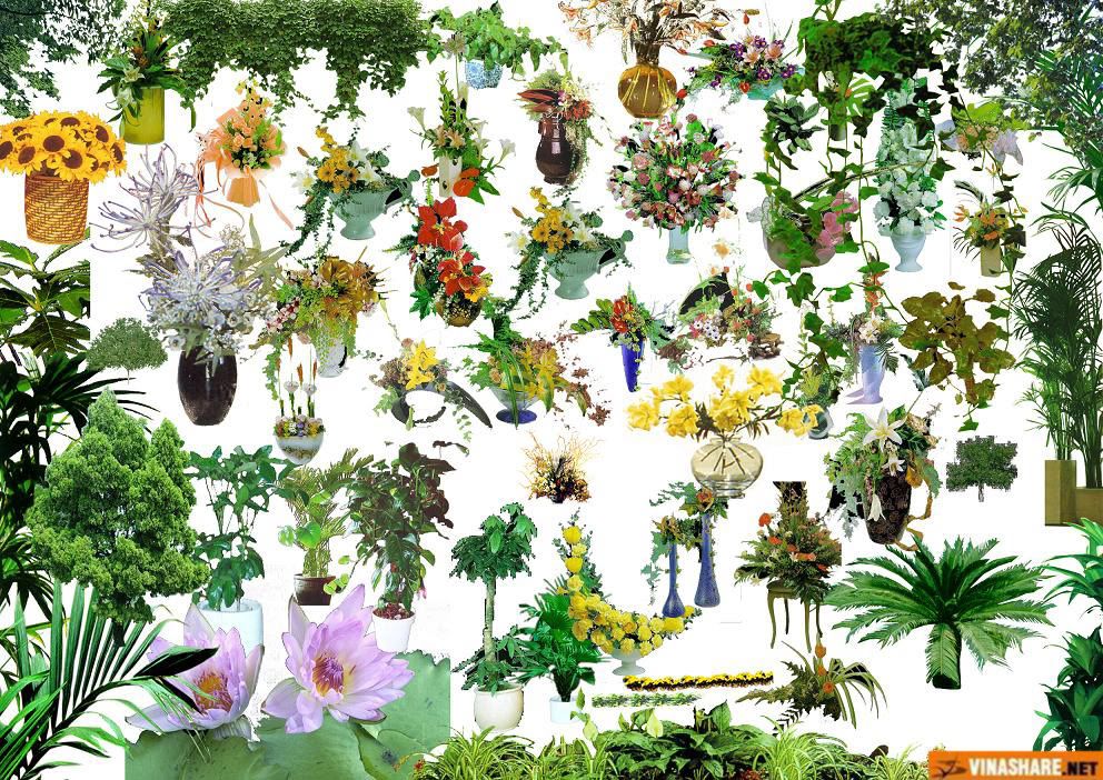 More_flowerscopy.jpg