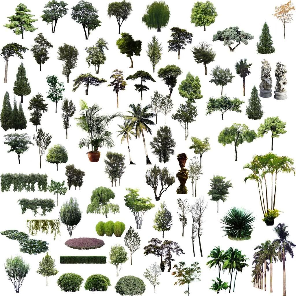 TreeElementsPSD.jpg