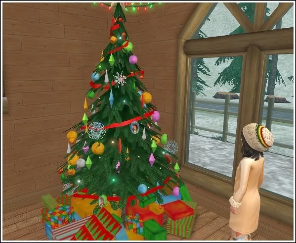 Inn admires Christmas tree
