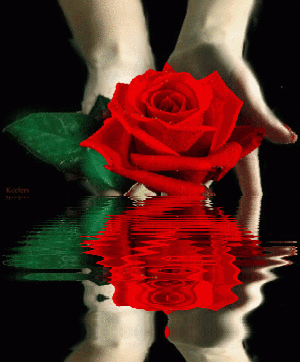 Flowers, Animated Gif,  Rosas, Reflections, Animated Gifs,  Color Splash, Beautiful Flowers, Roses, Keefers