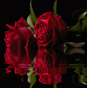 Color Splash, Water Reflections, Reflection,  Rosa,  Animated Gif, Animated Gifs,  Animated Graphics,  Animated Flowers, Beautiful Flowers, Roses, Rosas, Flores, Keefers