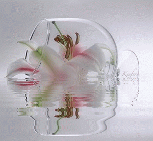 Animated Graphics, Flores, Gifs, Water Reflections, Animated Gif, Animated Gifs, Keefers Pictures, Images and Photos