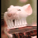 Humor Pictures, Images and Photos