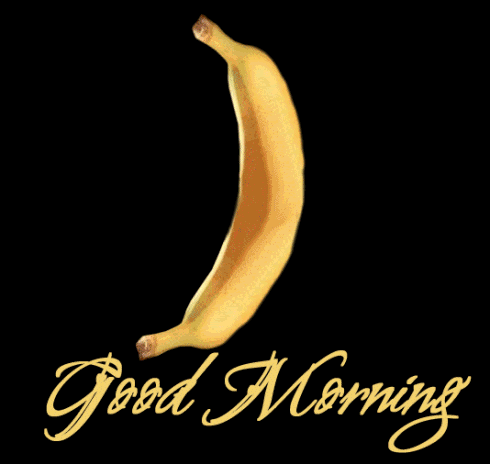 good_morning_banana.gif