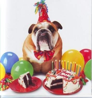 happy--birthday.jpg Happy Birthday image by Keefers_