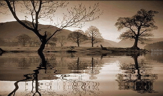 Landscape, Reflections, Animated Graphics, Animated Gif, Animated Gifs, Animated Landscapes, Landscapes, Nature, Keefers