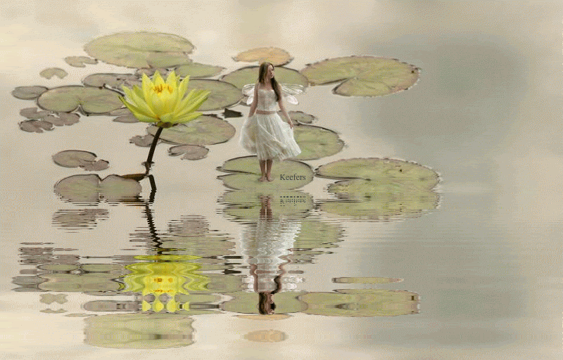 Flowers, Water Reflection, Water Reflections, Beautiful Flowers, Animated Flowers, Keefers photo Keefers_AnimatedFlowers3-1.gif
