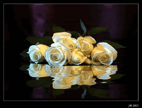 Animated Flowers, Animated Gifs, Flores,  Beautiful Flowers, Flowers, Roses.  Keefers Pictures, Images and Photos