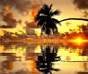 Landscape, Animated Gif, Animated Gifs, Water Reflections Landscapes, Animated Landscape, Animated Landscapes, Sunset, Keefers