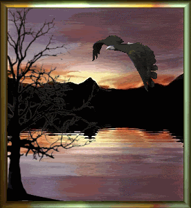 eagle5.gif Animated Landscape, Animated Graphics, Beautiful Landscapes, Nature picture by Keefers_