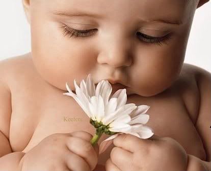 Beautiful Babies, Flowers, Beautiful flowers, Keefers Pictures, Images and Photos