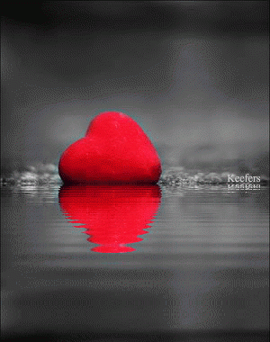 Heart, Hearts, Color Splash, Animated Graphics, Animations, Keefers Pictures, Images and Photos
