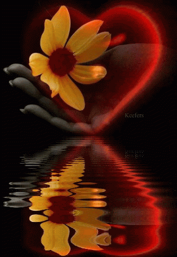 Love, Corazones, Animated Gif, Animated Gifs,  Coracoes, Zemrat, Srce, Hjerter, Mga puso, Hati, Sirdis, Qlub, Cors, Hertta, C&#339;urs, Corazons, Il mio cuore, Hjerte, Serce, Srdce, Animated Graphics, Animated Hearts, Keefers Pictures, Images and Photos