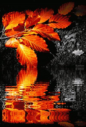 Color Splash, Reflections, Reflection, Animated Gif, Animated Gifs, Animated Color Splash, Animated Graphics, Animations, Keefers Pictures, Images and Photos