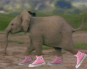 elephant humor animation