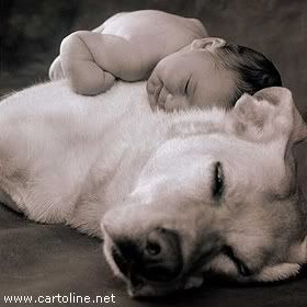 bambini_260803_01.jpg Beautiful Animal Pictures image by Keefers_