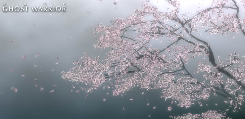 cherry blossoms wallpaper. cherry blossom wallpaper anime. cherry blossoms wallpaper.