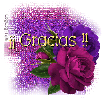 Gracias.gif Gracias image by gaviota_bel01