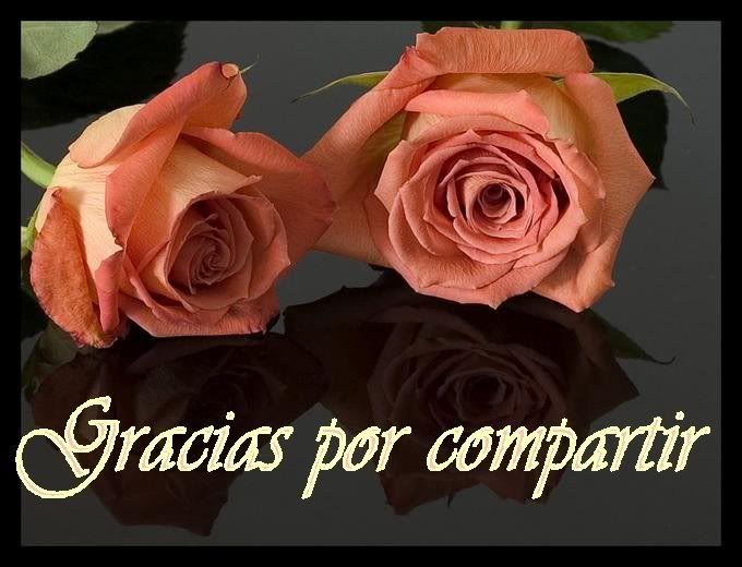 Gracias por compartir