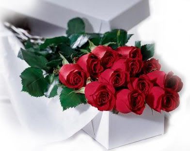 12-rosas.jpg Caja de rosas image by gaviota_bel01