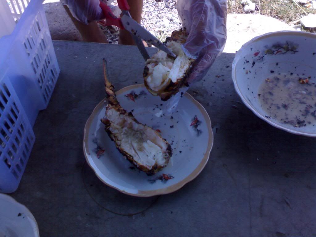 tường thuật quá trình mần thịt con tôm hùm - 2