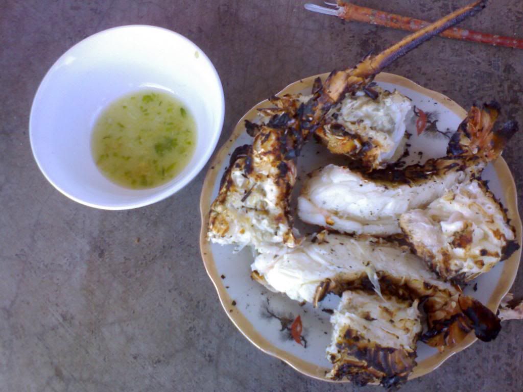 tường thuật quá trình mần thịt con tôm hùm - 3