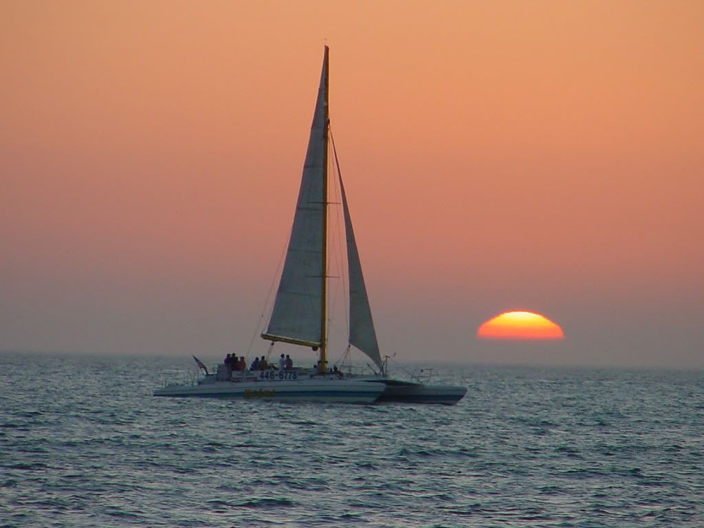 IMAGE: http://i415.photobucket.com/albums/pp238/srg2412/DSC00026.jpg