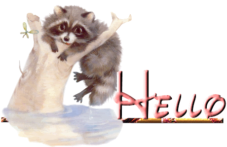 Hello Coon Tree Pictures, Images and Photos