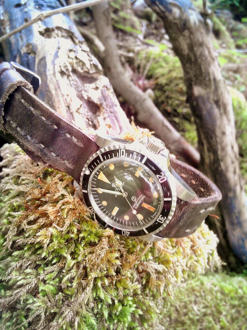 rollie2_zpsrgq2xmph.jpg