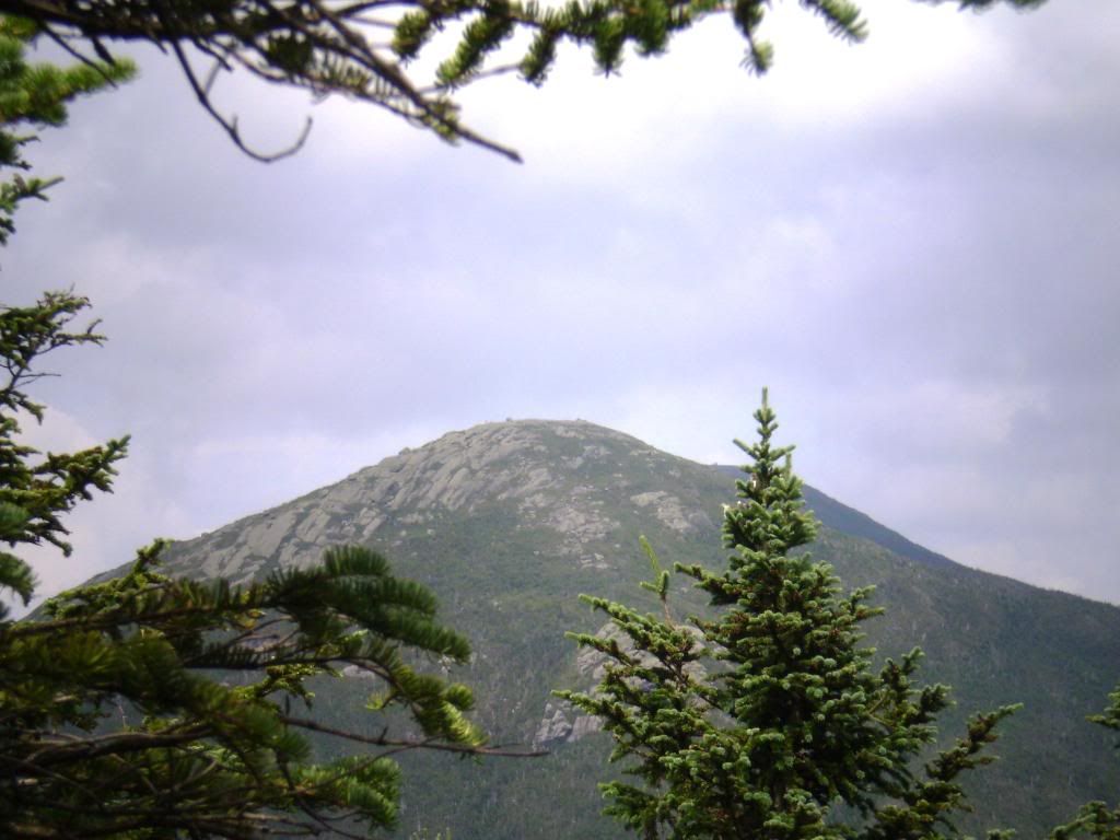 Posted Image