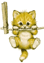 5ffa2ff73dd483b.gif