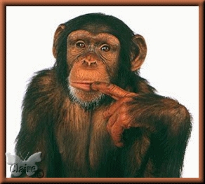 http://healingheartroom.blogspot.com/2015/05/animal-suzanna-choffel-with-lyrics.html