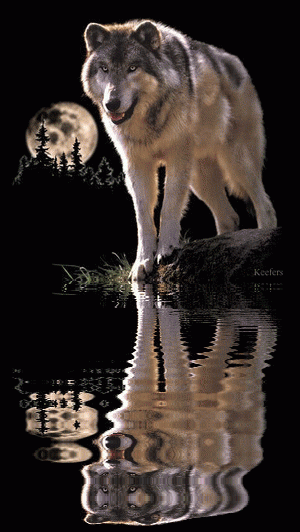 Keefers_AnimatedAnimals2011.gif