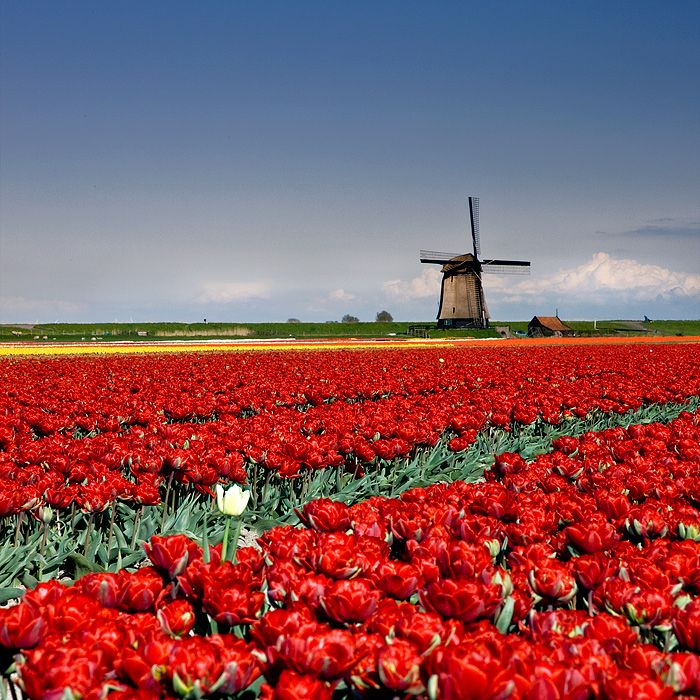 Keefers_BeautifulLandscape1140.jpg