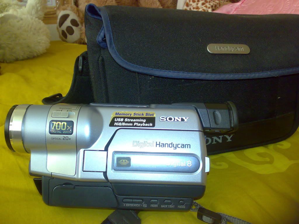 11112008237.jpg