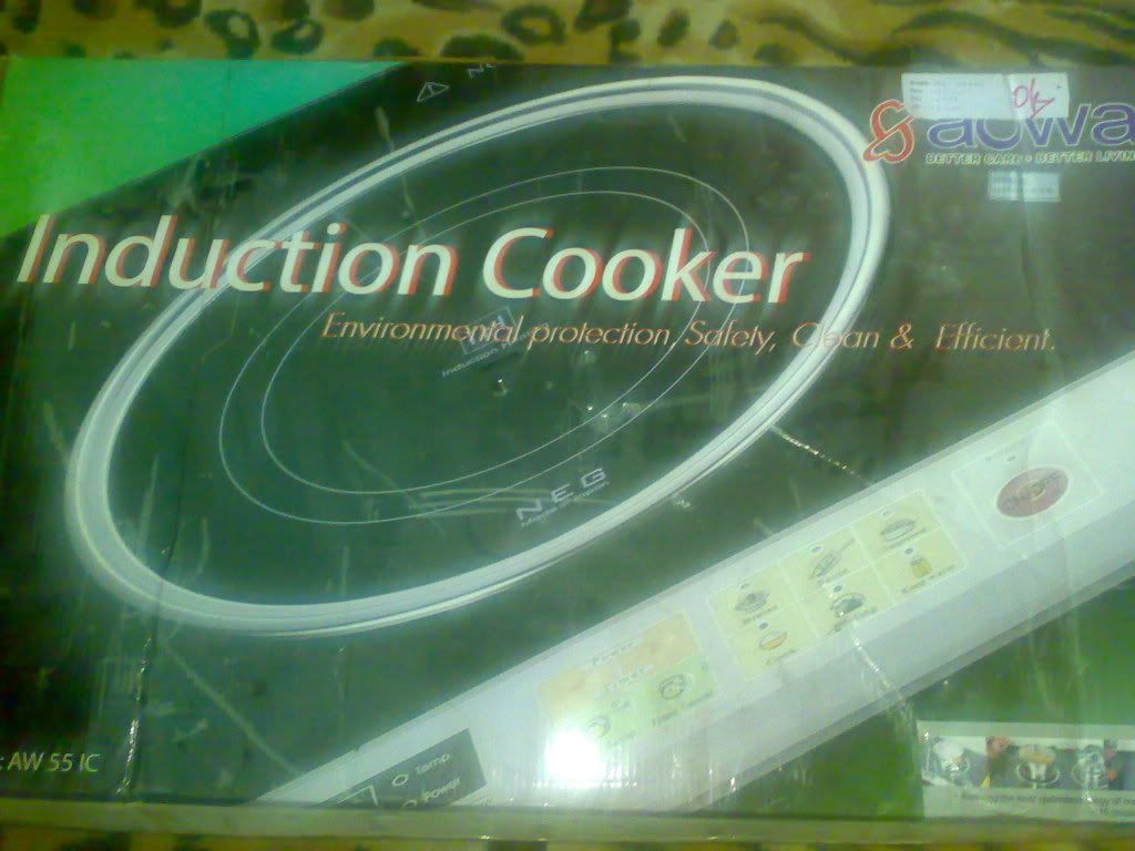 11112008241.jpg